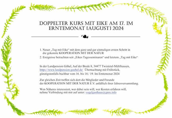 Doppelter-Kurs-mit-Eike
