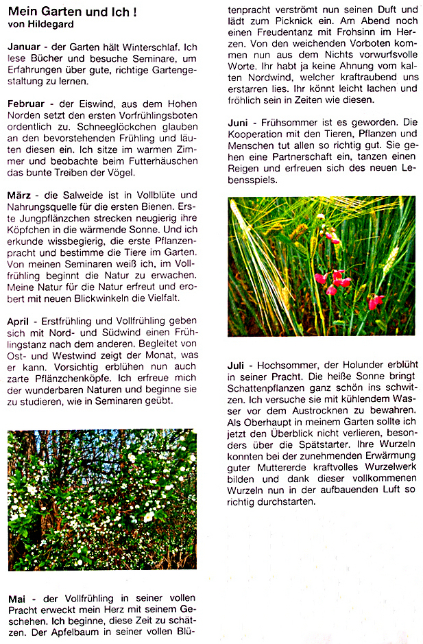 mein Garten-1