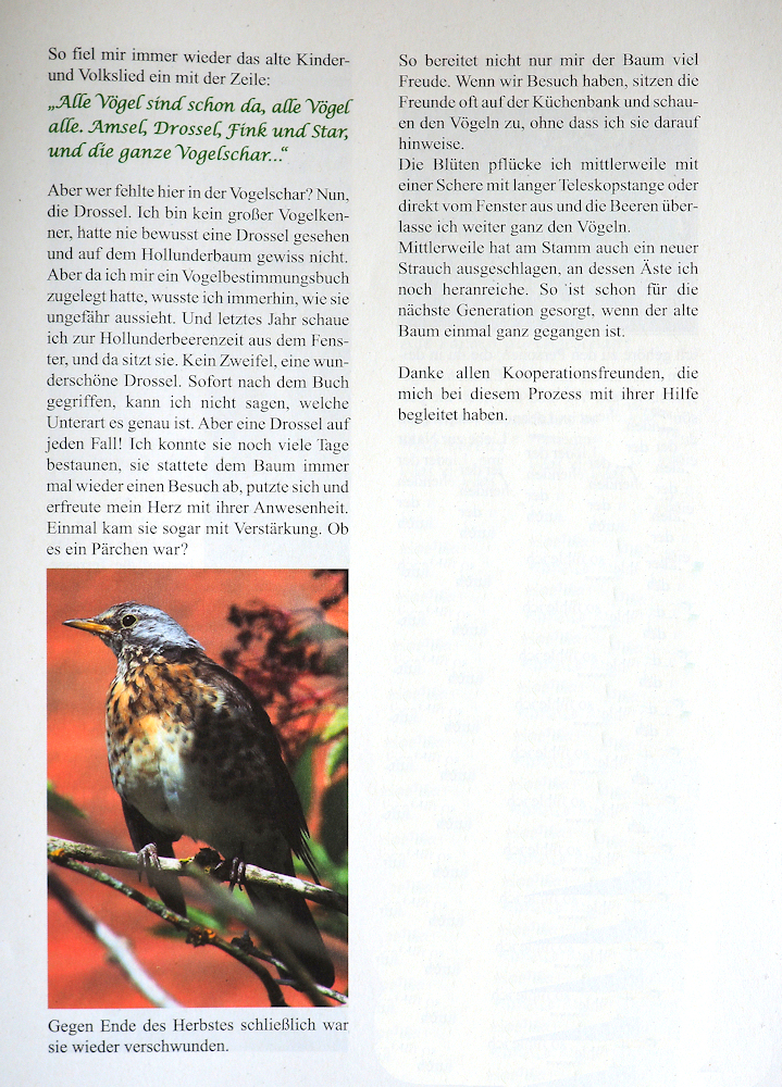 Alle Voeg_2