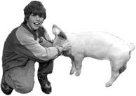 Du liebes Schwein
