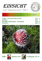 Einsicht 3/2010